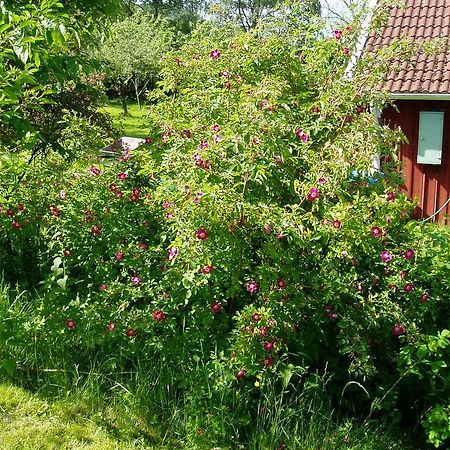 Langesater B&B Lerdala ภายนอก รูปภาพ